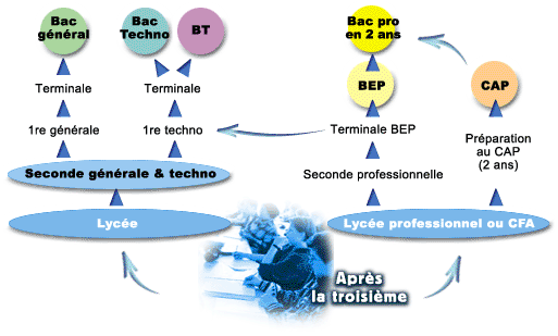 schema schema